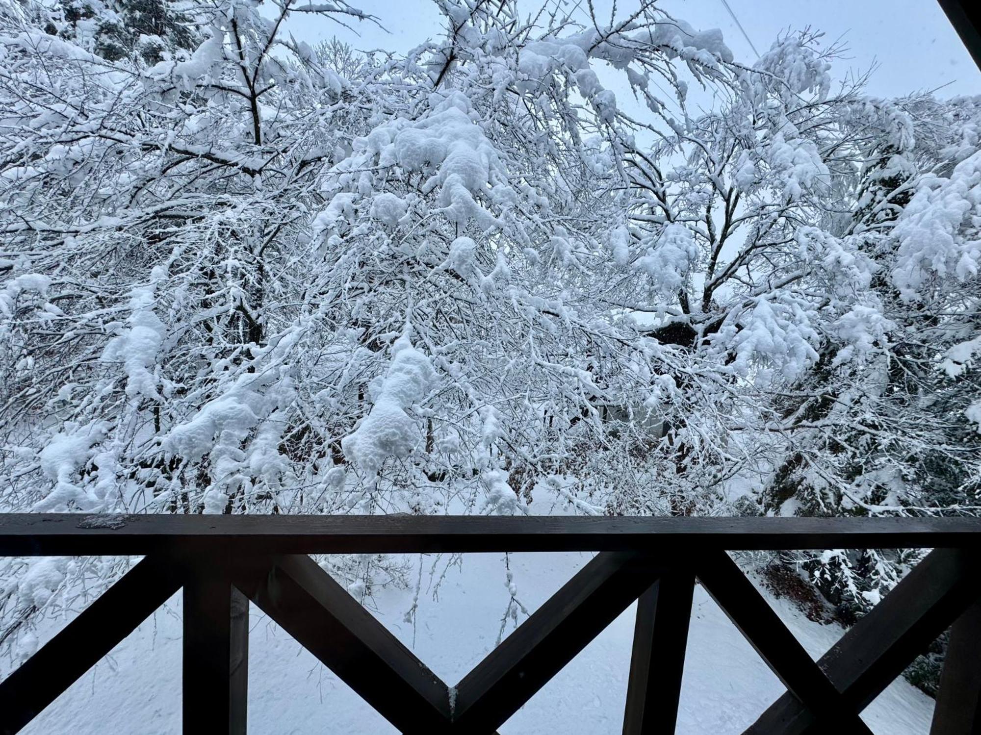 Riverside Loghouse Hakuba
