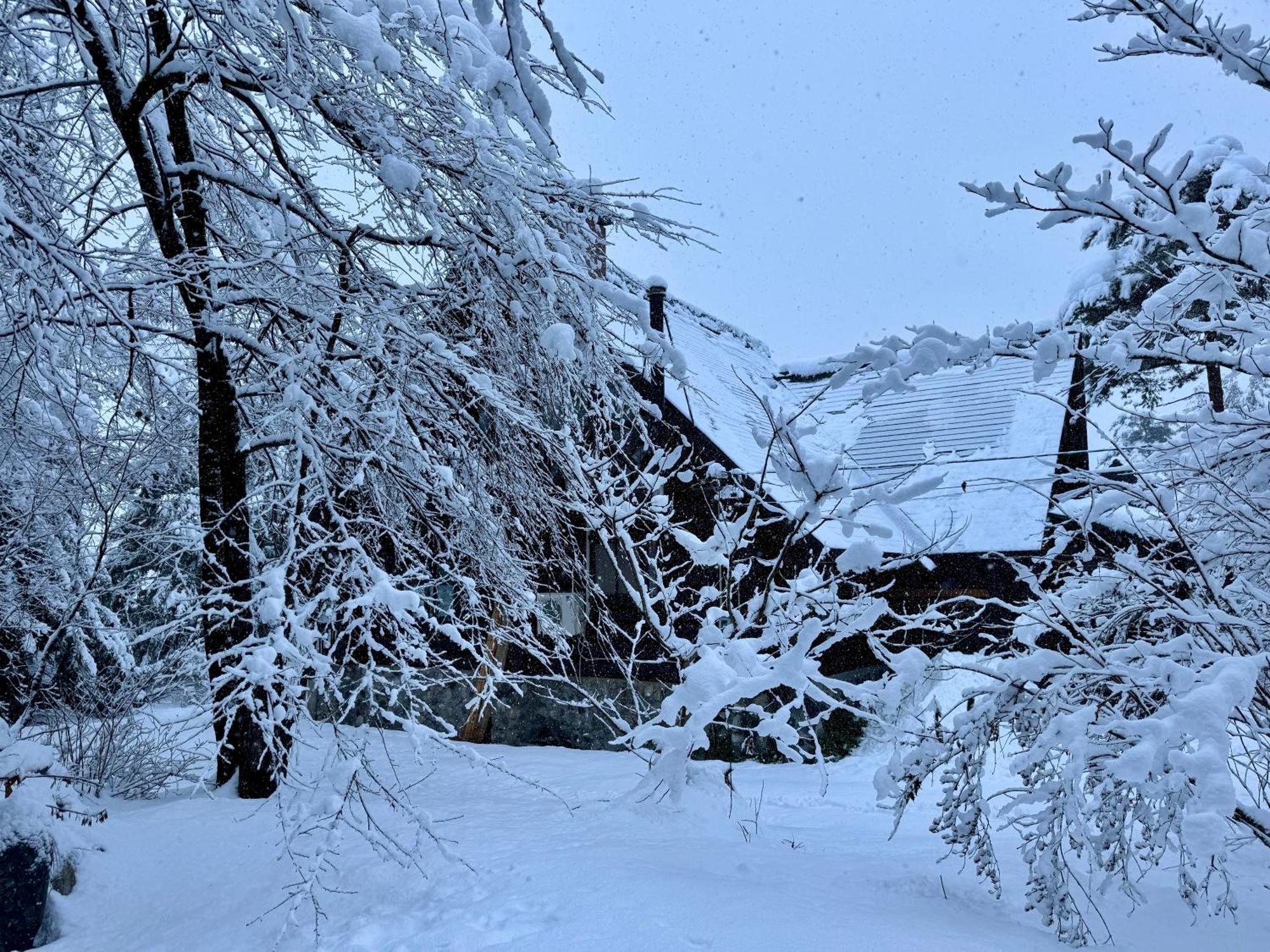 Riverside Loghouse Chalet *