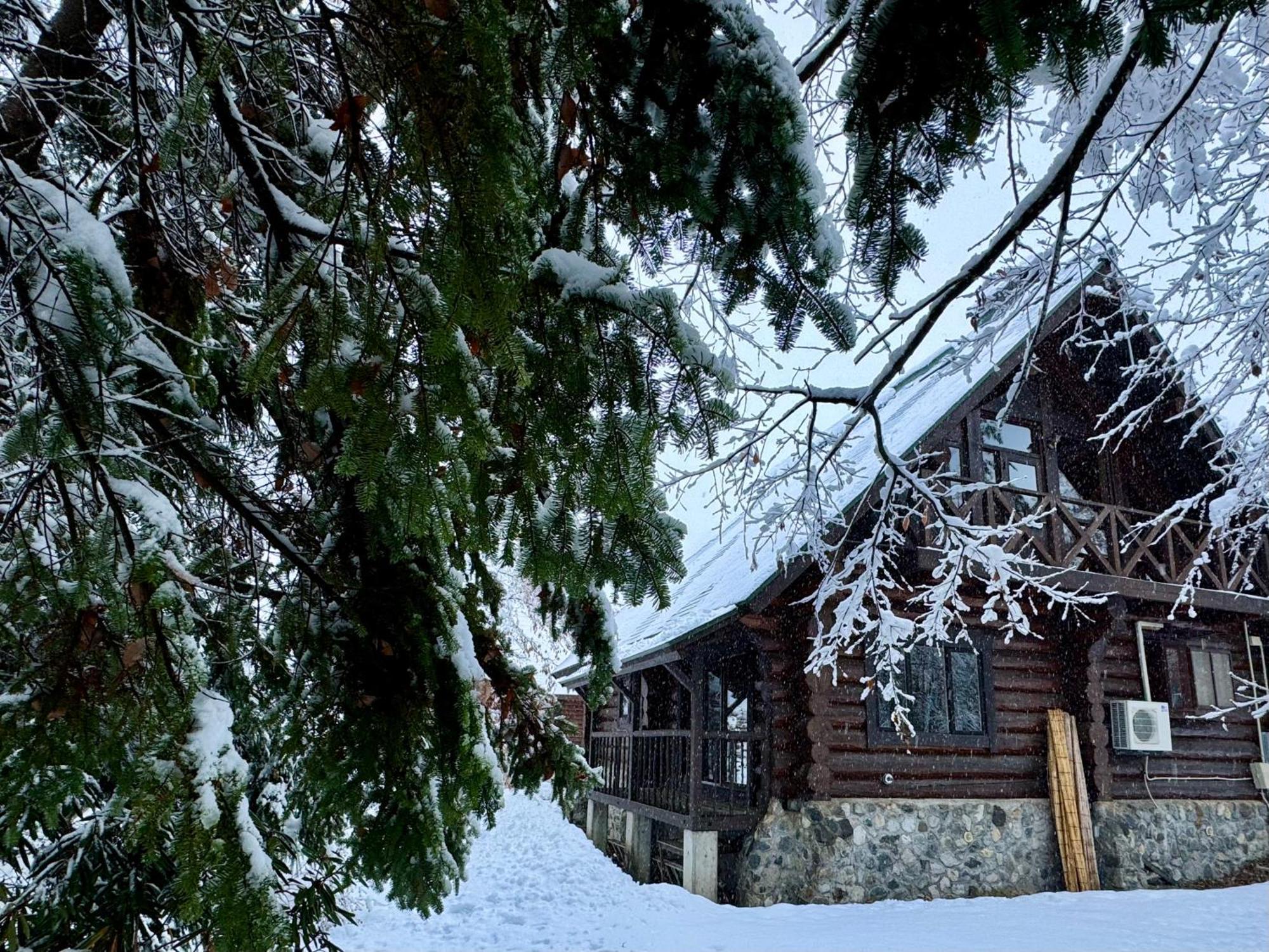 Riverside Loghouse Chalet *