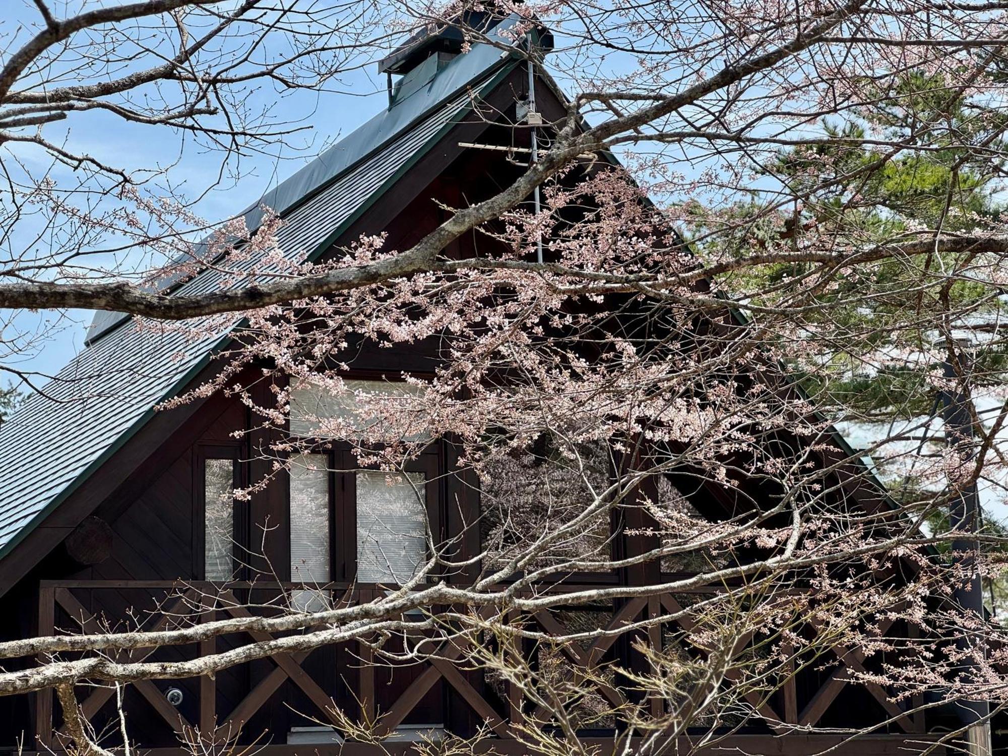 Chalet Riverside Loghouse Hakuba